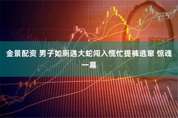 金景配资 男子如厕遇大蛇闯入慌忙提裤逃窜 惊魂一幕