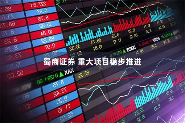 蜀商证券 重大项目稳步推进