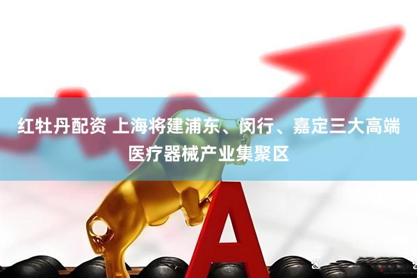 红牡丹配资 上海将建浦东、闵行、嘉定三大高端医疗器械产业集聚区