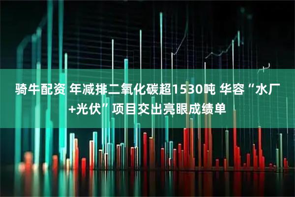 骑牛配资 年减排二氧化碳超1530吨 华容“水厂+光伏”项目交出亮眼成绩单