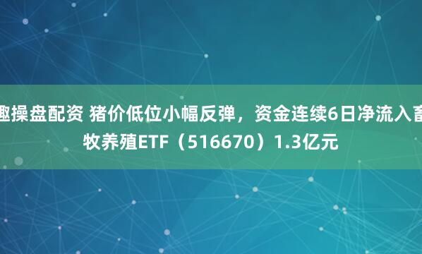 趣操盘配资 猪价低位小幅反弹，资金连续6日净流入畜牧养殖ETF（516670）1.3亿元