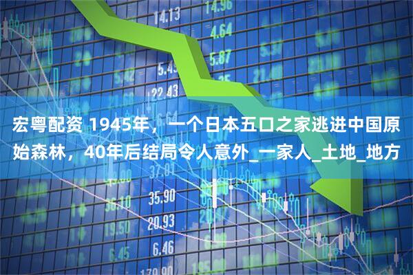 宏粤配资 1945年，一个日本五口之家逃进中国原始森林，40年后结局令人意外_一家人_土地_地方