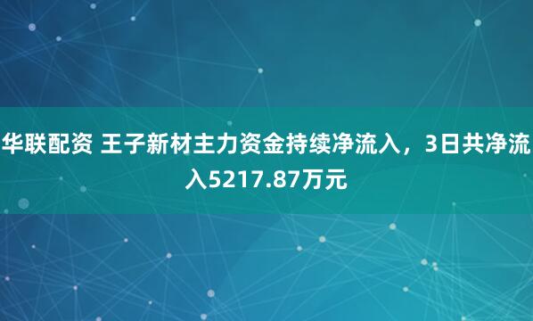 华联配资 王子新材主力资金持续净流入，3日共净流入5217.87万元