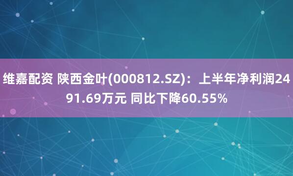 维嘉配资 陕西金叶(000812.SZ)：上半年净利润2491.69万元 同比下降60.55%
